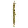 Vickerman 40-48 Basil Coco Palms - Twisted, 6 Stems, Dried