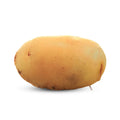 ASkinds 3D Potato Plush Pillow, 19.5 Plush Stuffed Toy Sofa Bed Decorative Vegetables Throw Pillow(Big Size)