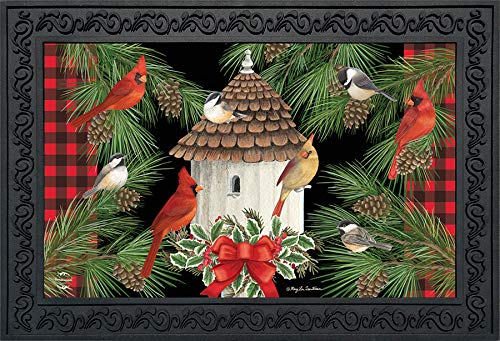 Briarwood Lane Holiday Bird Gathering Doormat Welcome Indoor/Outdoor 30 x 18