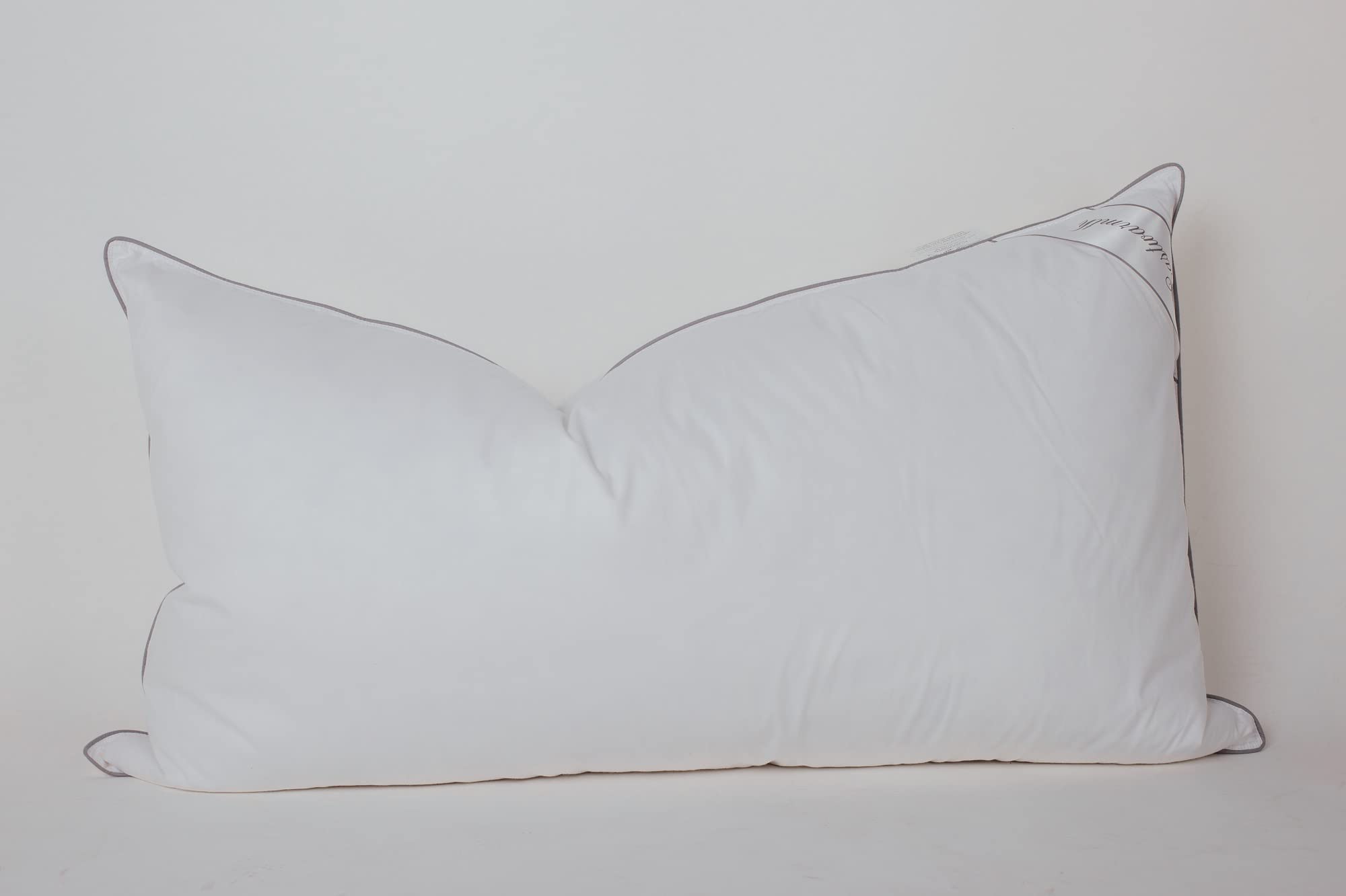 Eastwarmth King Size Goose Down Feather Hotel Collection Bed Pillows with Grey Piping for Sleeping,100% Cotton Cover White Color