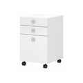 Bush Business Furniture Mobile File Cabinet with Satin Silver Hardware | Echo Collection Under Desk Filing Drawer Storage for Ho