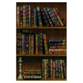 Self-Adhesive Vintage Bookshelf Peel-Stick Wallpaper Backsplash Shelf Liner Removable Door Vinyl Flooring Stickers 17.7inch by 9
