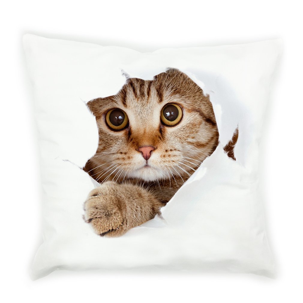 VIPbuy Super Soft Short Plush Square Decorative Throw Pillow Case Sofa Waist Cushion Cover 18 x 18 (3D Cat)