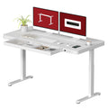 Standing Desk with Drawer, Electric Height Adjustable Home Office Desk with Storage & USB Ports, 55 inch White Wood Tabletop/Whi