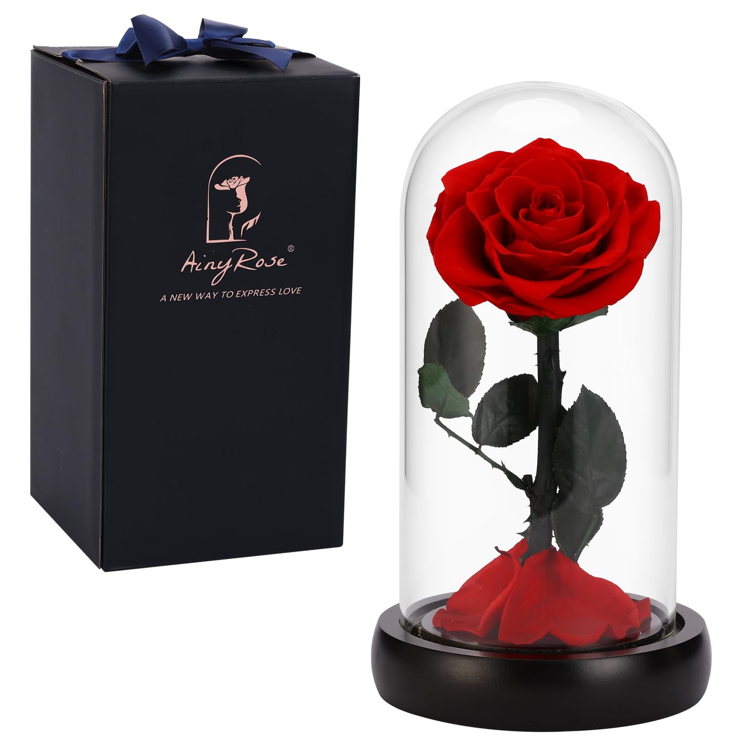 SW Forever Preserved Rose Mother Day Mom Gifts from Daughter Son,Birthday Gift for Women,Women Gift Red Rose Flower in Glass Gif