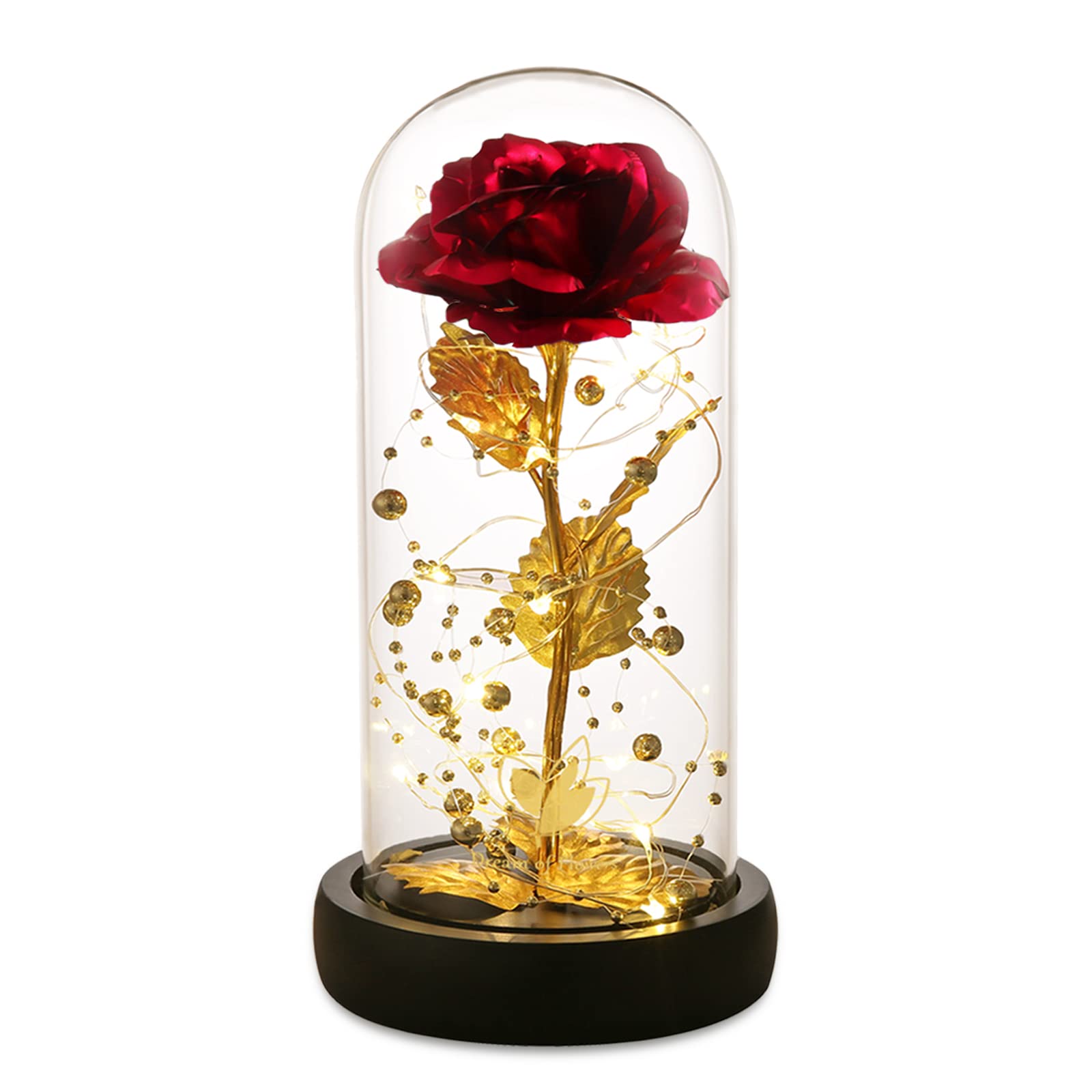 Valentines Gifts for Her,Beauty and The Beast Rose,Rose Gifts for Mom Wife Grandma,Red Roses Gifts for her,Gifts for Women,Etern