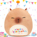 CozyWorld 14 Birthday Capybara Plush Pillow,Cute Capybara Stuffed Animal,Squish Capybara Happy Birthday Pillow,Kawaii Capybara