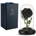 SW Forever Preserved Real Black Rose Flower Birthday Gifts for Mom Women,Valentines Gifts Black Eternal Flower in Glass Gifts fo
