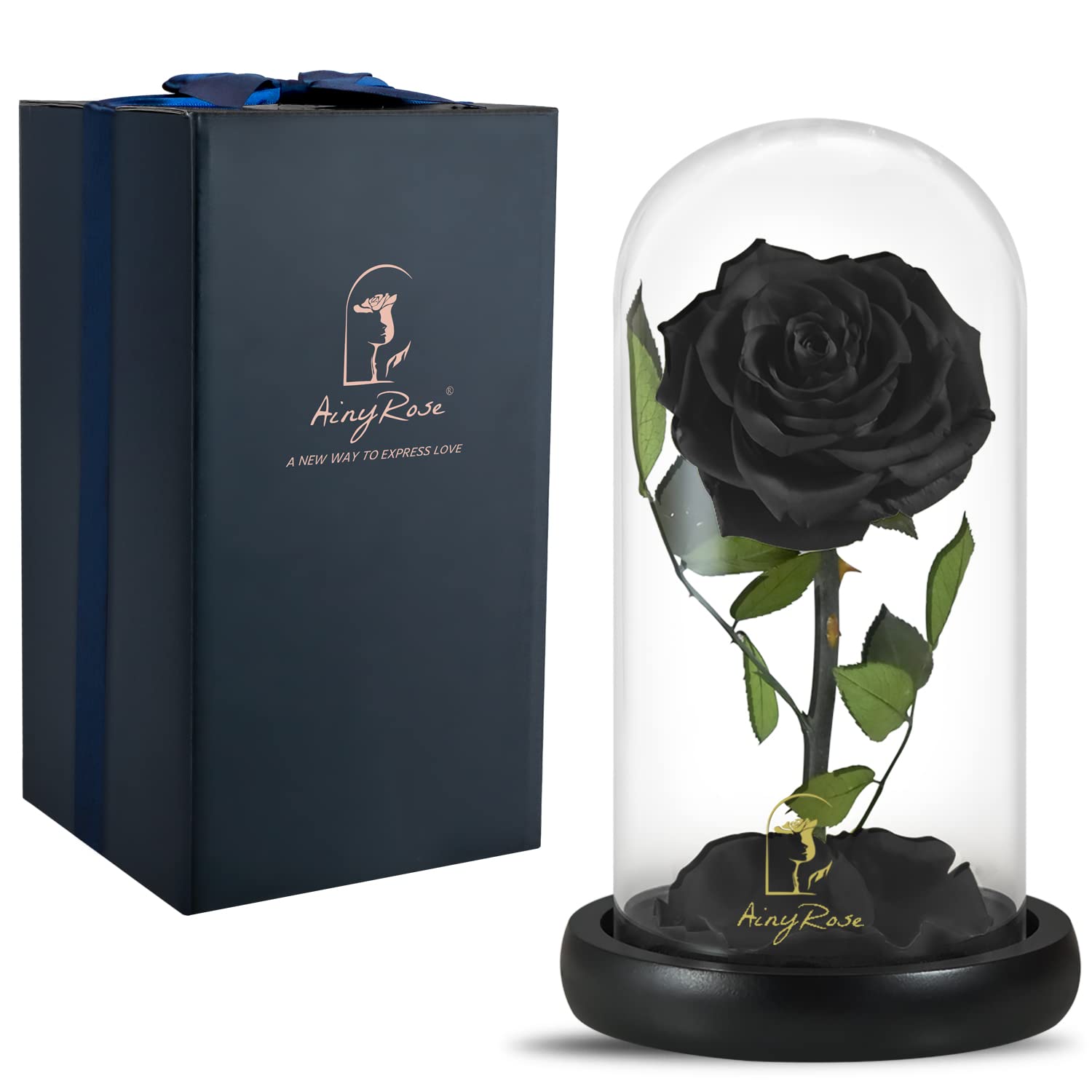 SW Forever Preserved Real Black Rose Flower Birthday Gifts for Mom Women,Valentines Gifts Black Eternal Flower in Glass Gifts fo