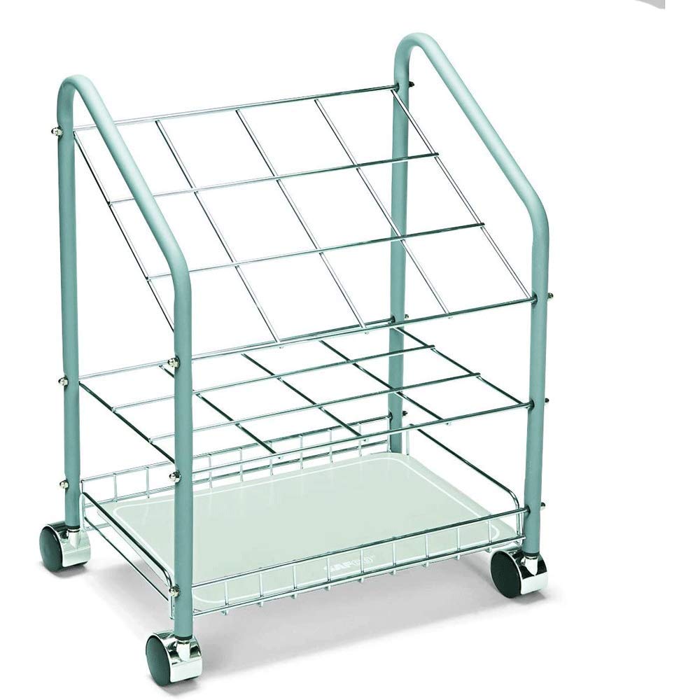 Safco Products 12 Compartment Tubular Steel Wire Mobile Roll File |100lbs Total Load Capacity | Easy Visibility & Access | Stora
