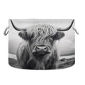 WELLDAY Cotton Rope Basket Highland Cow Baby Laundry Basket for Living Room, Laundry, Nursery, Home Decor, 20x20x14