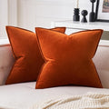 MIULEE Pack of 2 Fall Decorative Velvet Throw Pillow Covers Soft Pillowcase Solid Square Cushion Case for Sofa Bedroom Car 20x20