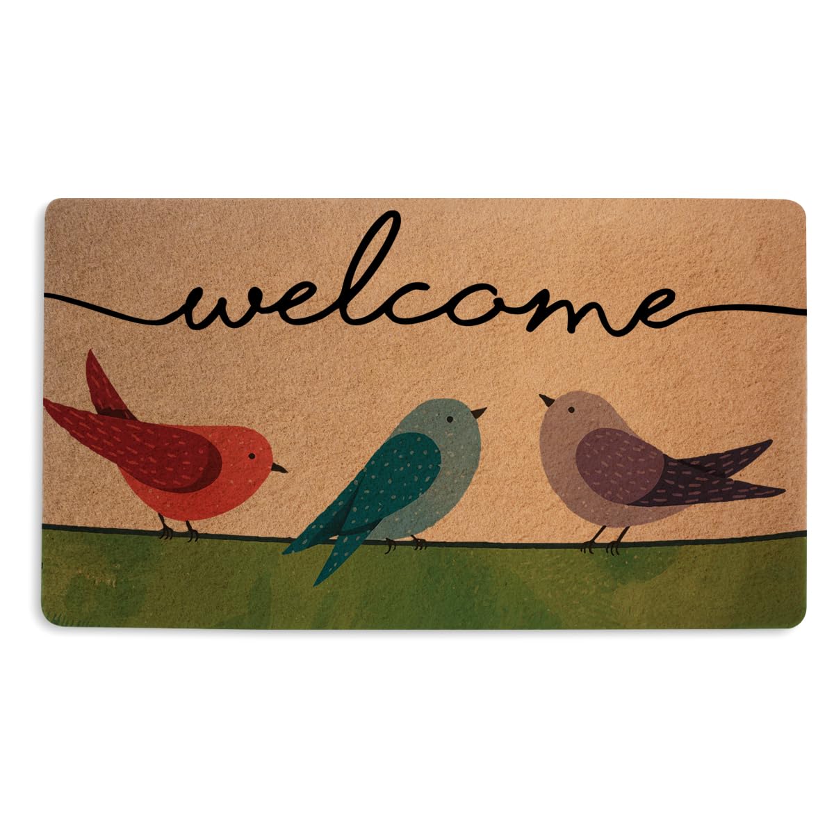 Colorful Birds Door Mat 18x30 Inch, Cute Bird Durable Welcome Mat for Outdoor Indoor Entryway Porch Home Decor, Coco Coir Doorma
