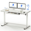 FLEXISPOT 55 White Electric Standing Desk with Drawers, Quick Assembly Home Office Sit Stand Desk with Storage, USB Charging, Co