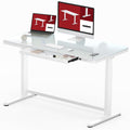 SANODESK Standing Desk with Drawer, Electric Height Adjustable Home Office Desk with Storage & USB Ports, 48 inch Tempered Glass
