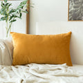 MIULEE Fall Velvet Soft Soild Decorative Square Throw Pillow Cover Cushion Case for Sofa Bedroom Car 12 x 20 Inch 30 x 50 Cm