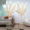 10pcs 46 White Pampas Grass Tall Decor - Pompas Floral, Tall Pampas Grass for Floor Vases, Living Room Floor, Floor Plants, Pl