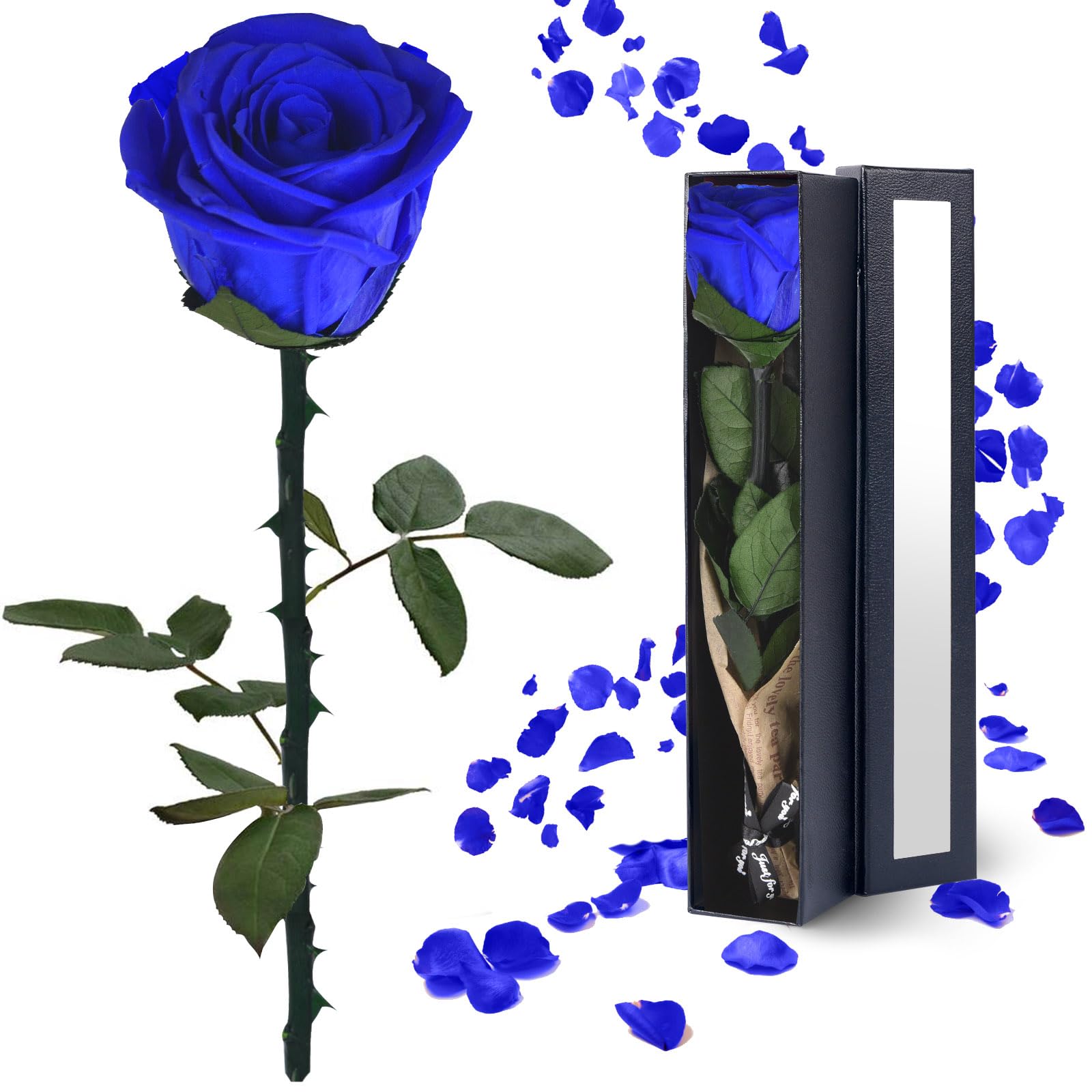 YAMPP Blue Rose Flowers Gifts for Women: Preserved Roses Birthday Christmas Anniversary for Mom Girlfriend Wife Grandma