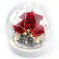 Kylin Glory Forever Flowers Real Eternal Roses Preserved Flowers Gift with LED Mood Lights for Valentines Day Birthday Annivers
