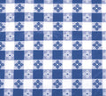Winco TBCO-70B Checkered Table Cloth, Blue, 52 x 70