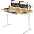 SANODESK Standing Desk with Drawer,Dual Motor 3 Stage Electric Height Adjustable Home Office Desk with Storage & Wireless Chargi