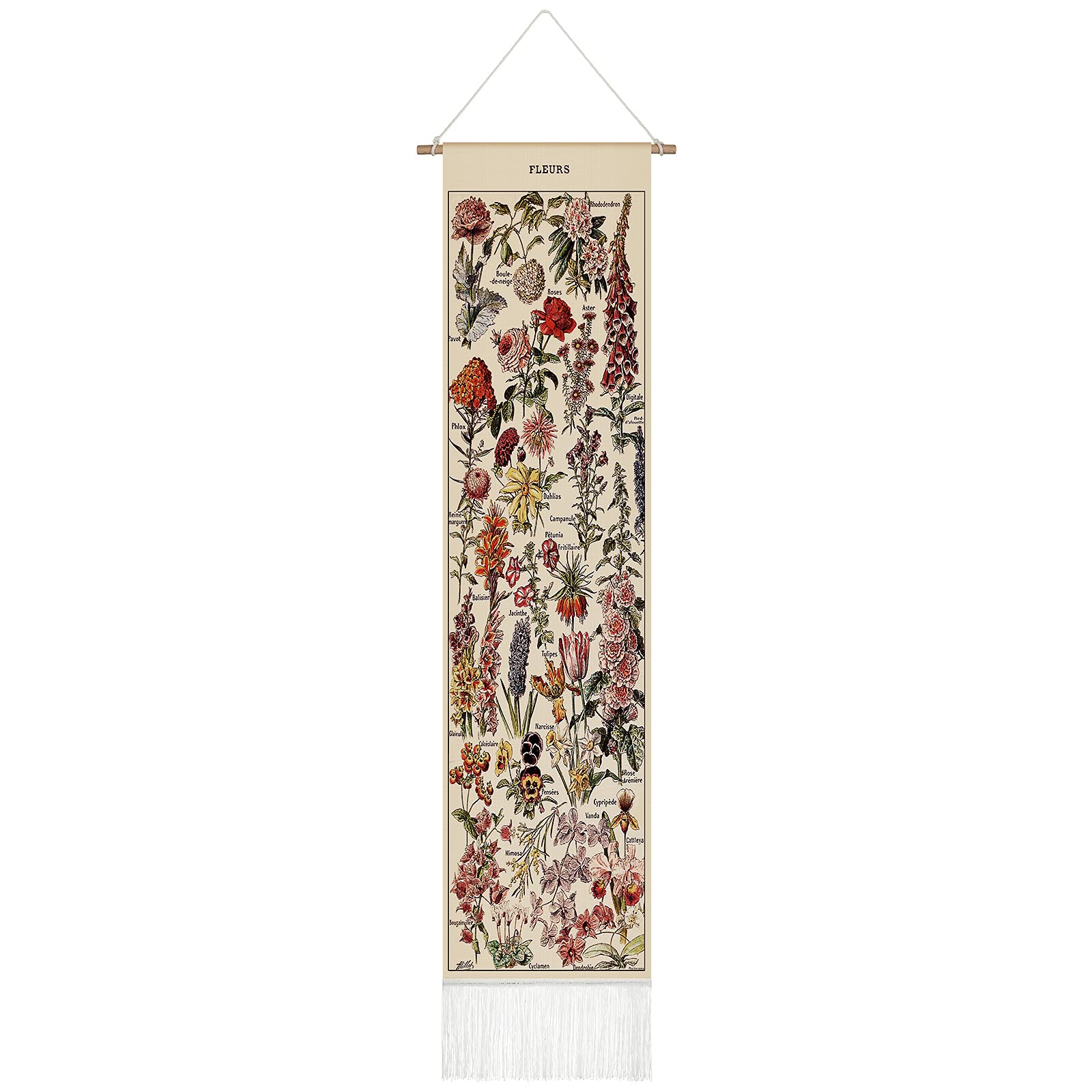 Tegeme Vintage Tapestry 52 x 13 Inch, Long Vertical Wall Hanging Reference Illustrative Botanical Tassel Tapestry for Bedroom Li