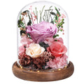 lovenfold Flowers for Delivery Prime Preserved Flowers Lilac Roses with LED Light in a Glass Dome,Long Lasting Real Roses Birthd