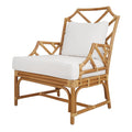 New Pacific Direct Kara 17.5 Rattan and Cotton Accent Arm Chair in Canary Brown