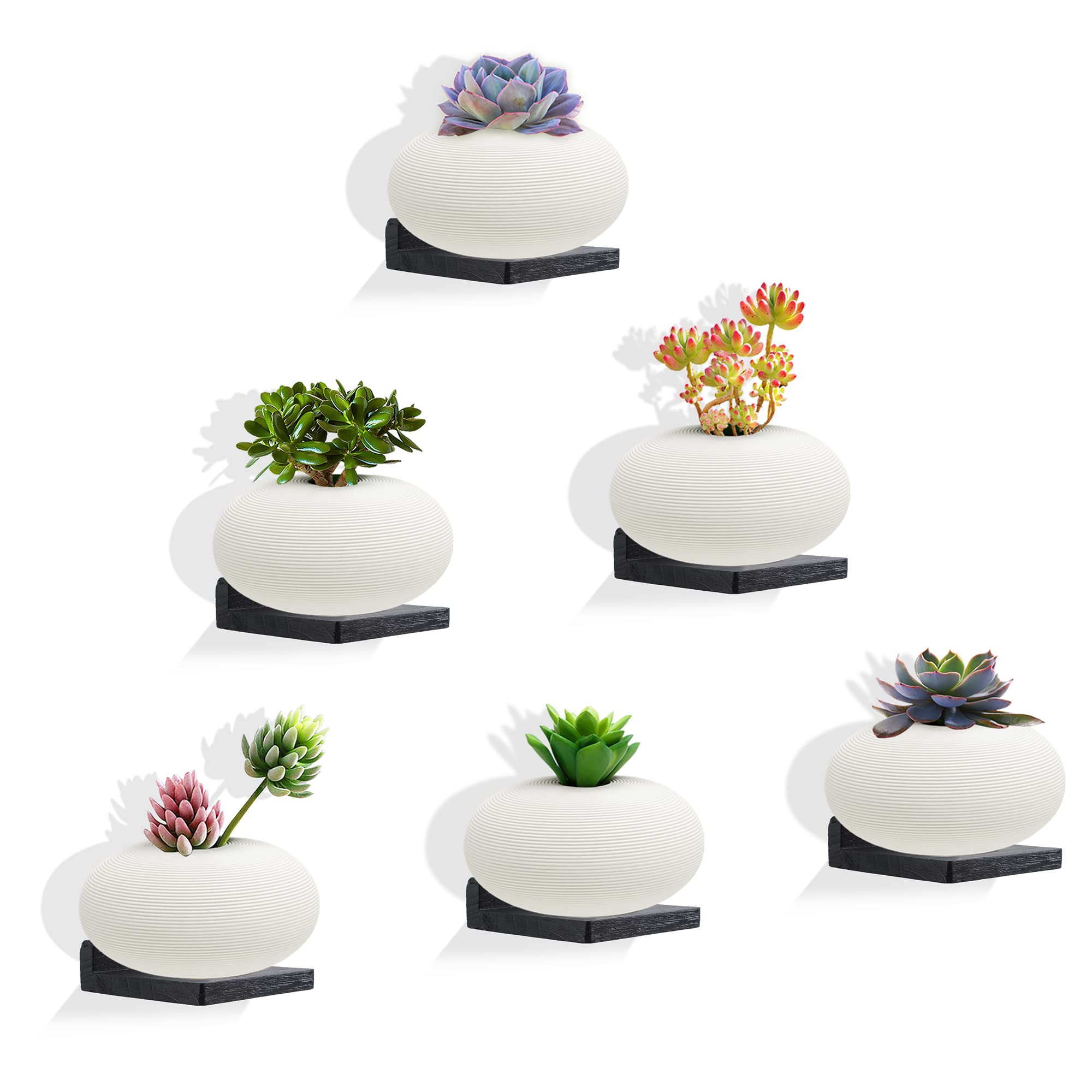 NIUBEST Small Floating Shelf, Set of 6 Black Shelf for Wall Decor Storage Wall Mounted Small Wall Shelf for Bedroom Living Room 