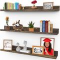 Icona Bay 36 Inch Floating Shelves for Wall, Set of 3 in Walnut Brown, Modern Rustic Style, Wall Mounted Display Shelves, Pictur