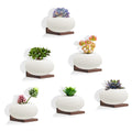 NIUBEST Small Floating Shelves,5x5 Inch Display Ledges for Wall,Set of 6 Mini Shelf,Rustic Wood Shelf for Bedroom Living Room Ki