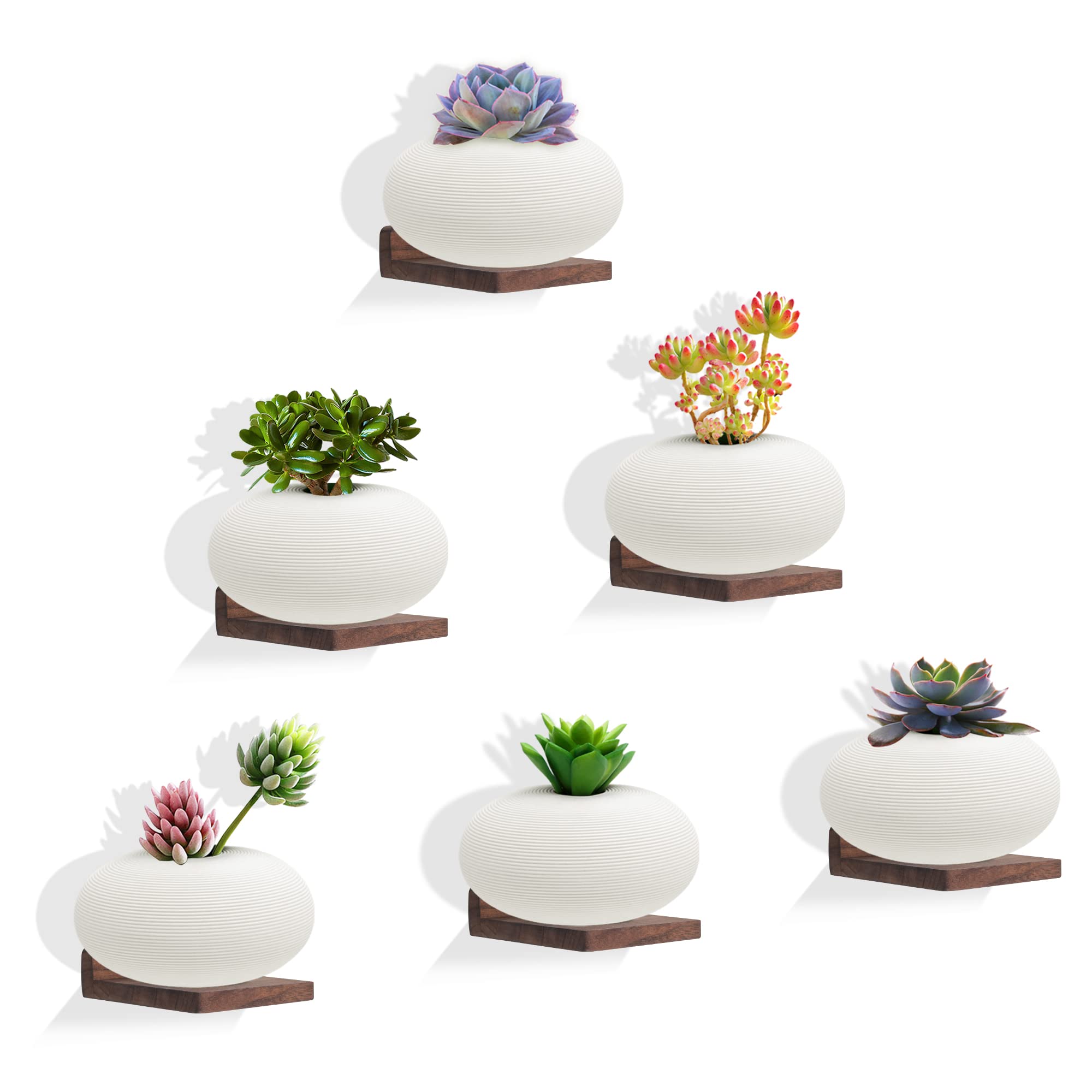NIUBEST Small Floating Shelves,5x5 Inch Display Ledges for Wall,Set of 6 Mini Shelf,Rustic Wood Shelf for Bedroom Living Room Ki