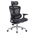 SIHOO Doro C300 Ergonomic Office Chair with Ultra Soft 3D Armrests, Dynamic Lumbar Support for Home Office Chair, Adjustable Bac