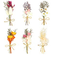Chenkaiyang 6Pcs Mini Dried Flowers Bouquet, Mixed Natural Dried Flowers Gypsophila Bouquets Boutonniere Table Centerpieces Birt