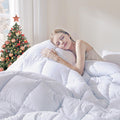 DOWNCOOL Comforters Queen Size, Duvet Insert, White All Season Duvet, Lightweight Quilt, Down Alternative Hotel Comforter with C