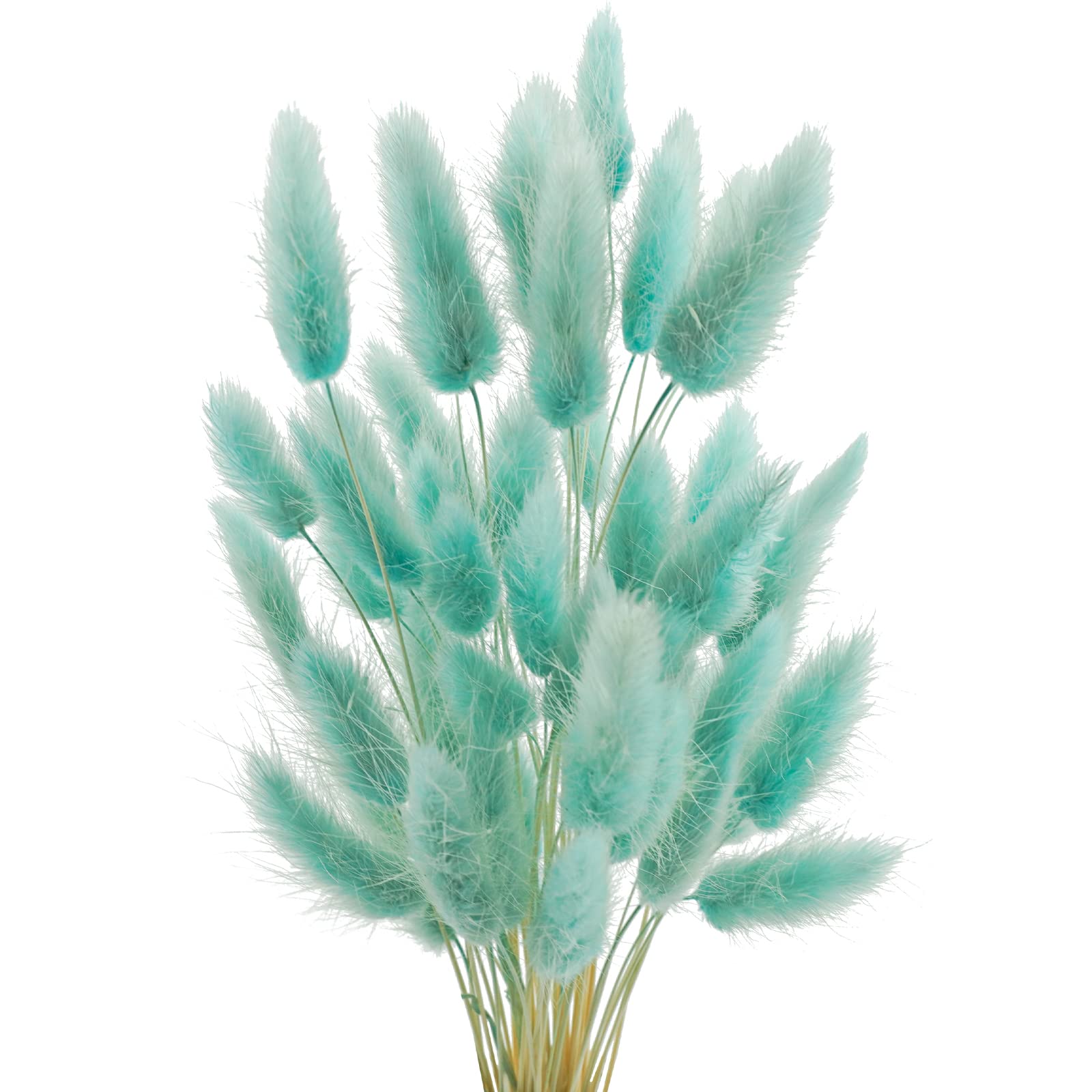 Uieke 240 Pcs Bunny Tails Dried Flowers, 17 Dried Lagurus Ovatus, Dried Foxtail Grass for Flower Arrangements Wedding Centerpiec