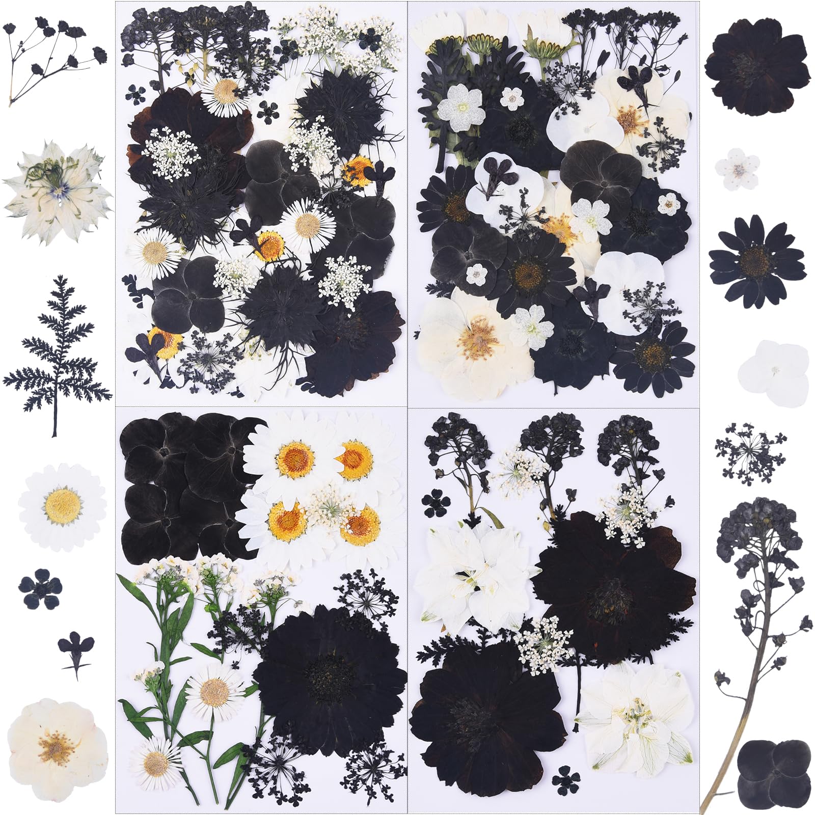 115Pcs Black Dried Pressed Flowers for Crafts,Xinxinran Dry Flowers Kit for Resin Molds,Epoxy Resin Accessories,Bookmark,Nails, 