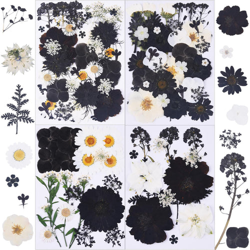 115Pcs Black Dried Pressed Flowers for Crafts,Xinxinran Dry Flowers Kit for Resin Molds,Epoxy Resin Accessories,Bookmark,Nails, 