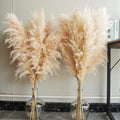 40 inch 10 Stems Natural Pampas Grass Decor Tall, pompas Grass, Tall Pampas Grass for Wedding, Party, Farmhouse, Boho Home Decor