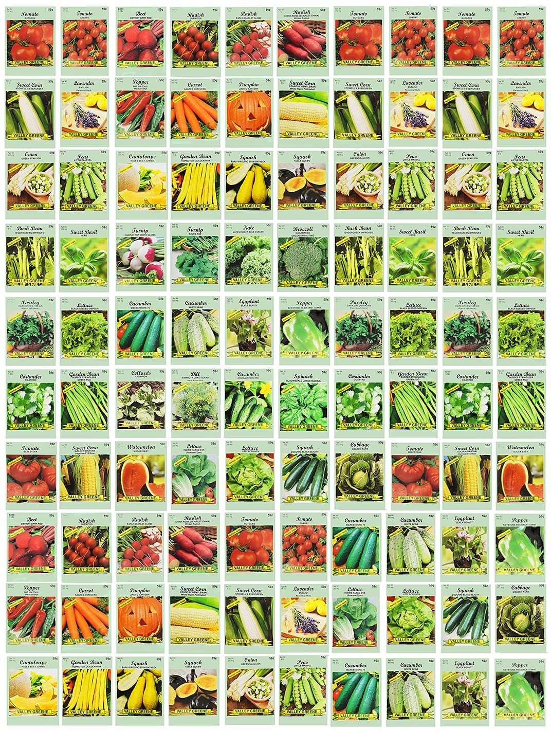 100 Assorted Heirloom Vegetable Seeds 100 Non-gMO (100, Deluxe Assorted Vegetable Seeds)