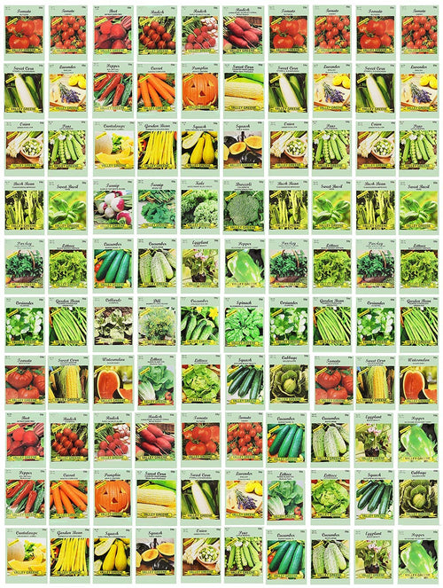 100 Assorted Heirloom Vegetable Seeds 100 Non-gMO (100, Deluxe Assorted Vegetable Seeds)