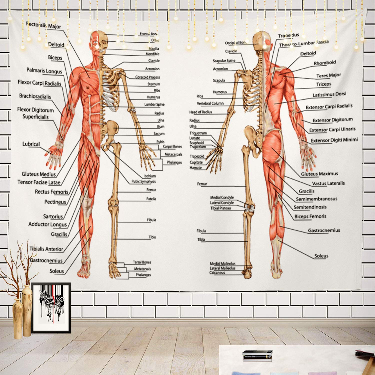 Batmerry Skeleton Tapestry, Body Human Skeleton Anatomy Backbone Biology Board Bone Picnic Mat Hippie Trippy Tapestry Wall Art D