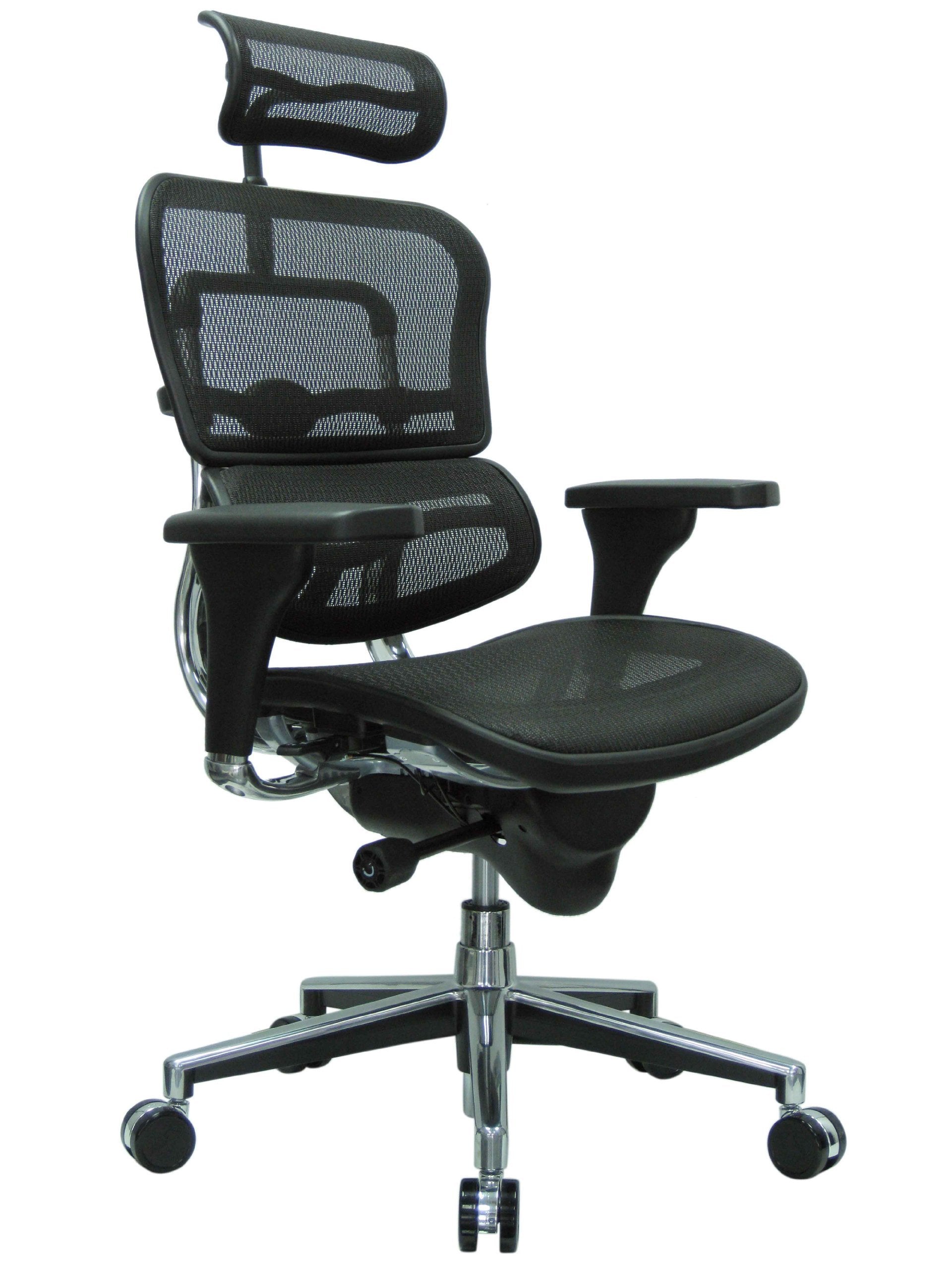 Ergohuman Eurotech GEN2 - High Back Black Mesh Office Chair with Adjustable and Flexible Lumbar Support - Headrest, Seat Slider,
