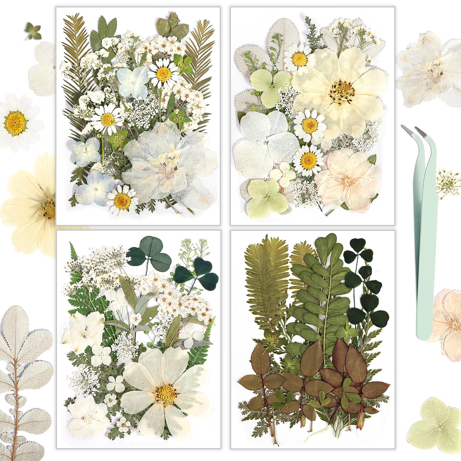 Resiners 100Pcs Dried Pressed Flowers for Resin Molds, White Real Natural Dried Flowers Dry Leaves kit for Wedding Scrapbook Sup