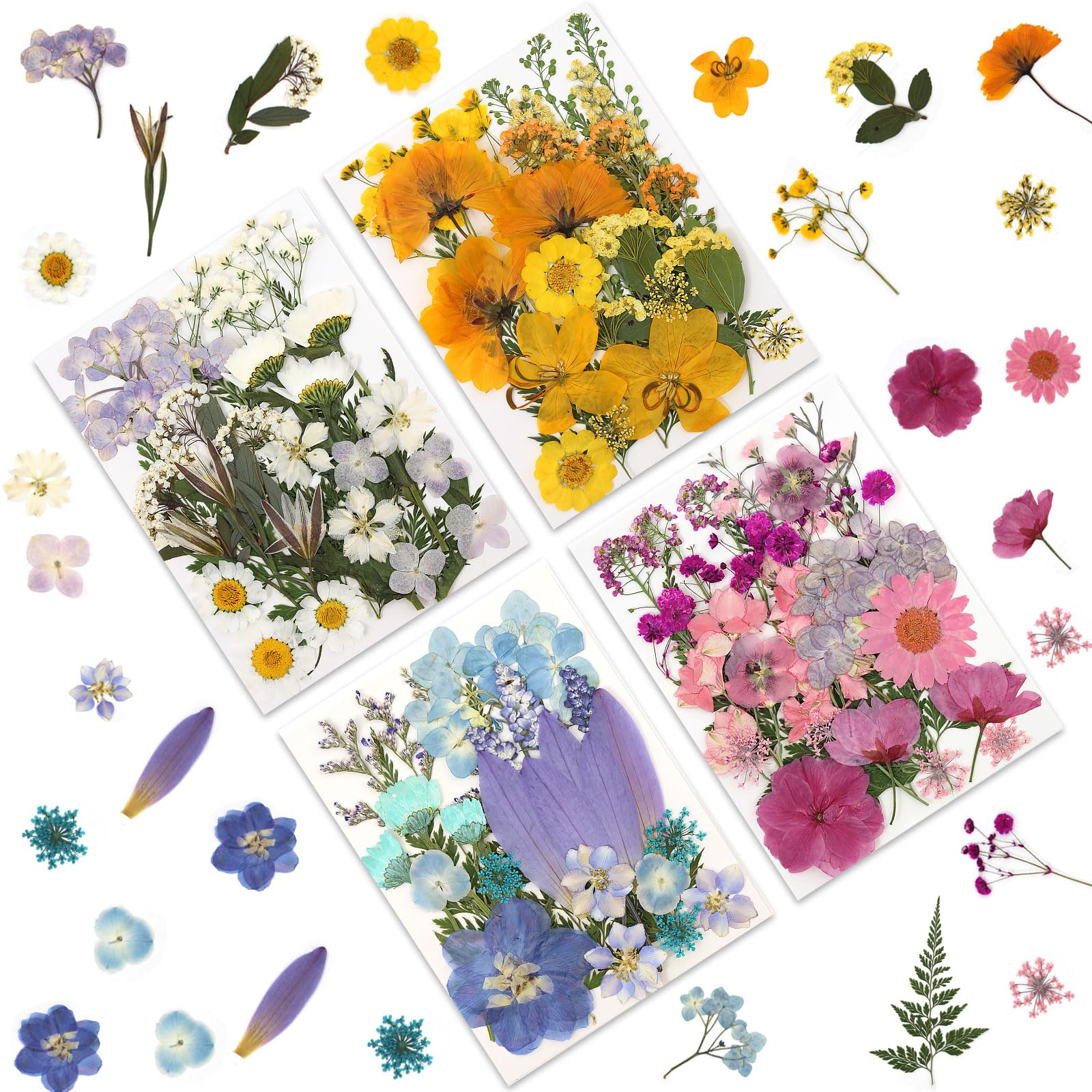 LUXEEASE 110P 4 Color Long Stem Dried Flowers for Crafts, Real Natural Pressed Flowers in Mixed Tones for Resin Art, DIY Crafts,