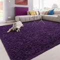 Softlife Rug for Bedroom 4x5.3 Feet Area Rug for Living Room Super Soft Shaggy Rugs for Dorm Room Fluffy Fuzzy Carpets Long Plus