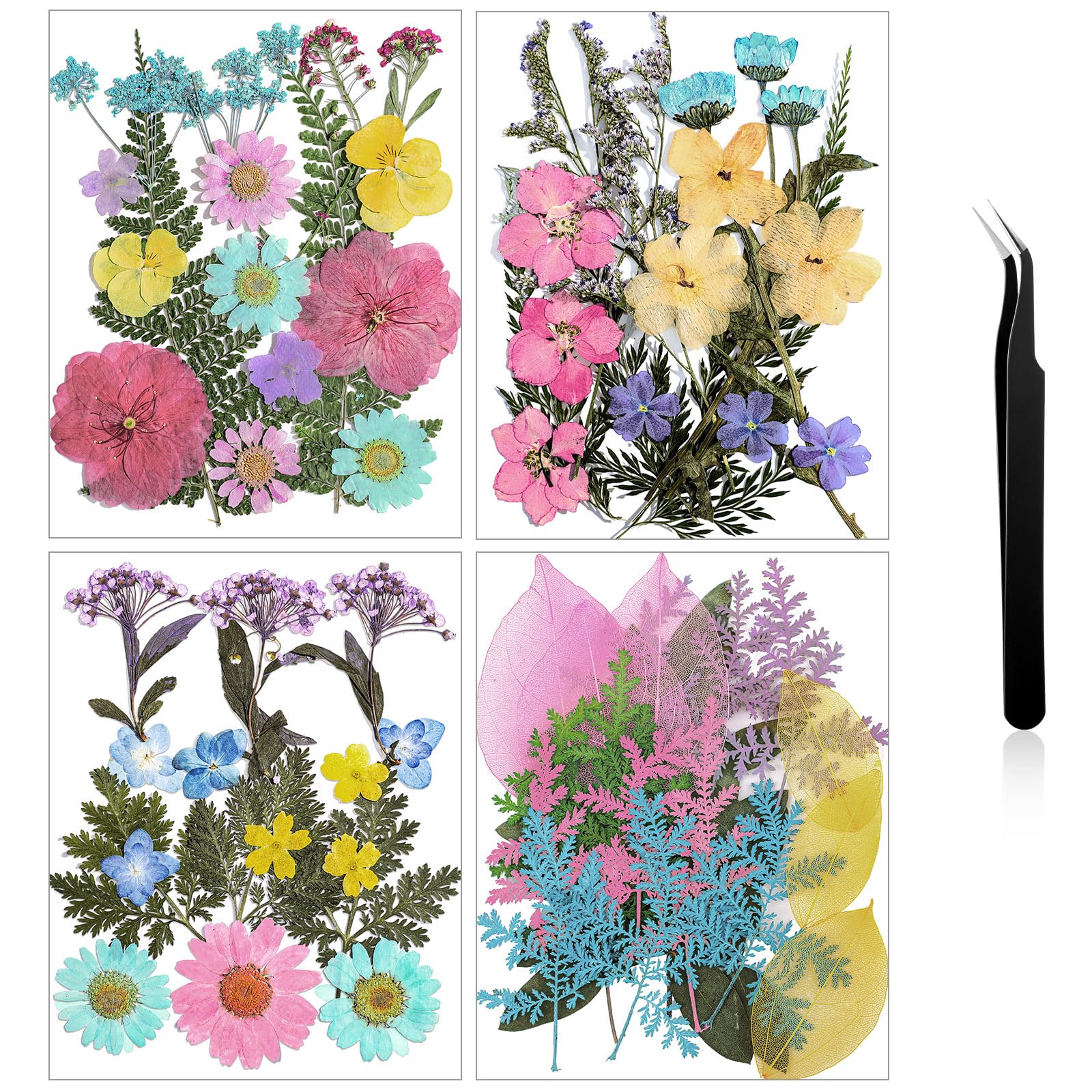 Nuanchu Pressed Flowers Bulk Dried Flower for Crafts, Dried Wildflowers Leave Natural with Tweezer for Resin Mold Scrapbooking N