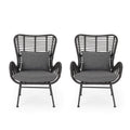Great Deal Furniture Noble House Montana Outdoor Wicker Metal Club Chair in Gray (Set of 2)