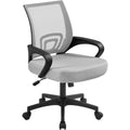 Topeakmart Executive Office Chair Computer Desk Chair for Home Office Student Study Conference Room, Grey