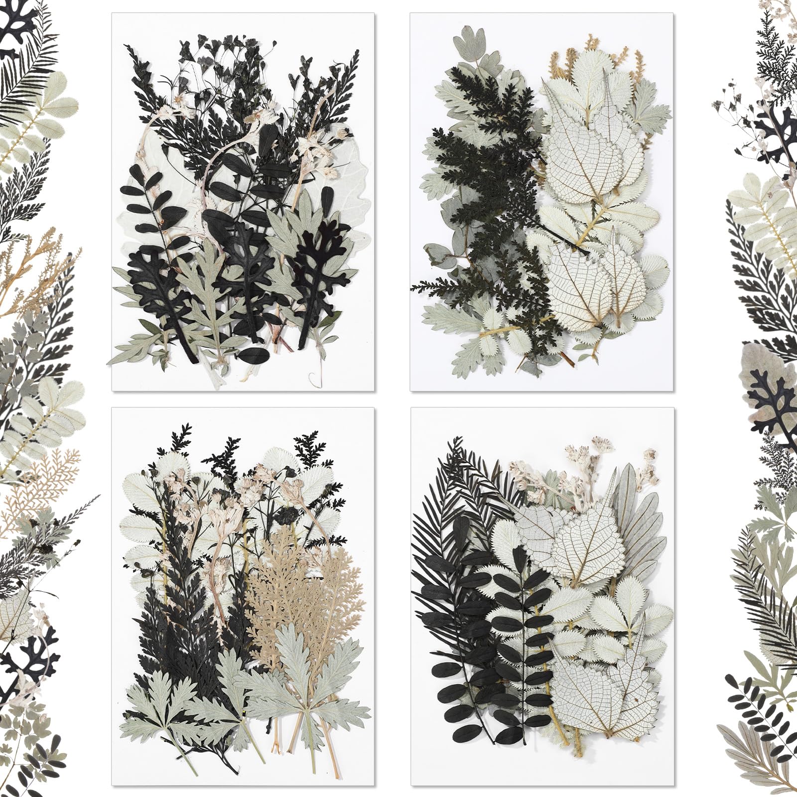 Timtin 84 Pieces Dried Pressed Leaves Dried Flowers for Resin Dried Leaves for Resin Mini Dried Flowers for Crafts Dried Greener